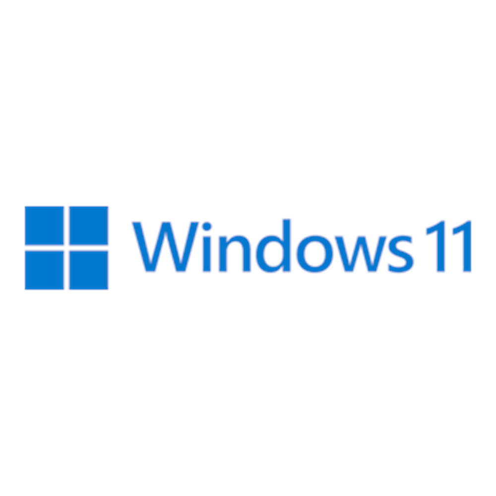Windows11 indirme